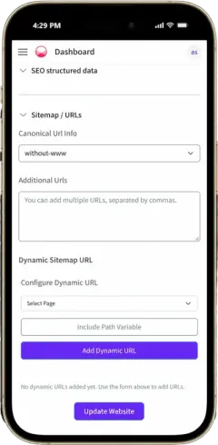 Sitemap and canonical URL settings with the Update Website button